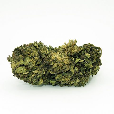 Fleur de CBD Amnesia Greenhouse