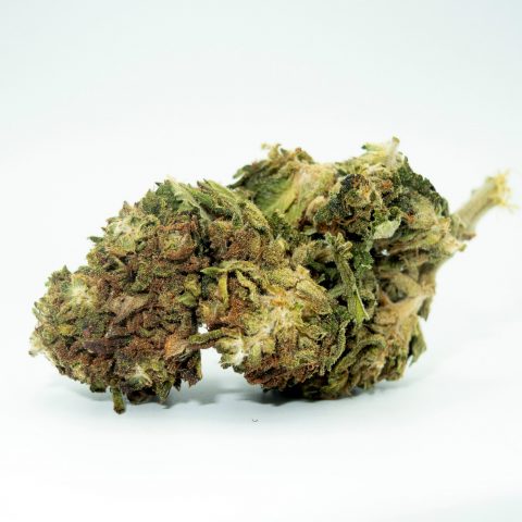 FLEUR CBD "MANGO KUSH" BIO