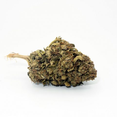 FLEUR CBD "ORANGE BUD" BIO