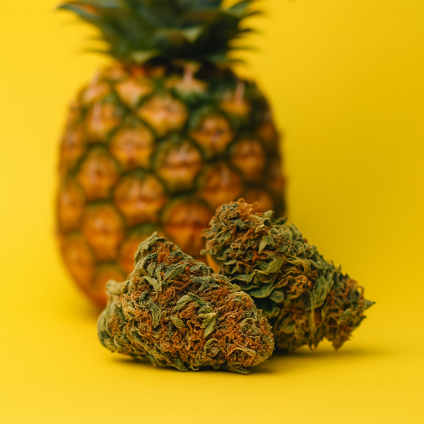 FLEUR CBD PINEAPPLE