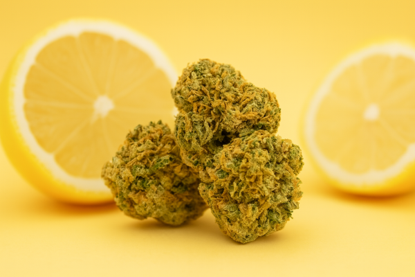 FLEUR CBD LEMON HAZE