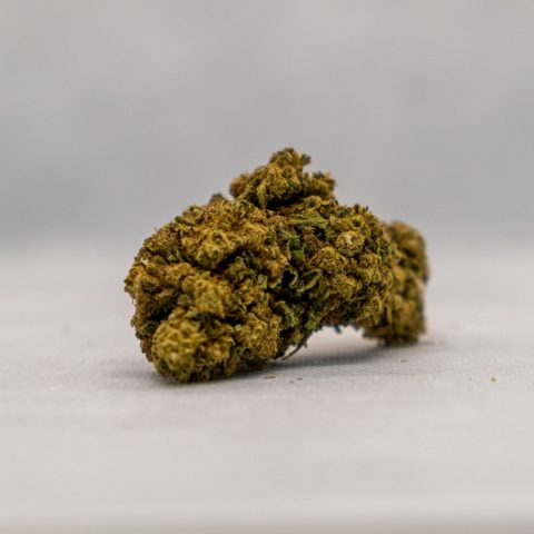 PROMO ! HARLEY QUEEN CBD BIO PREMIUM