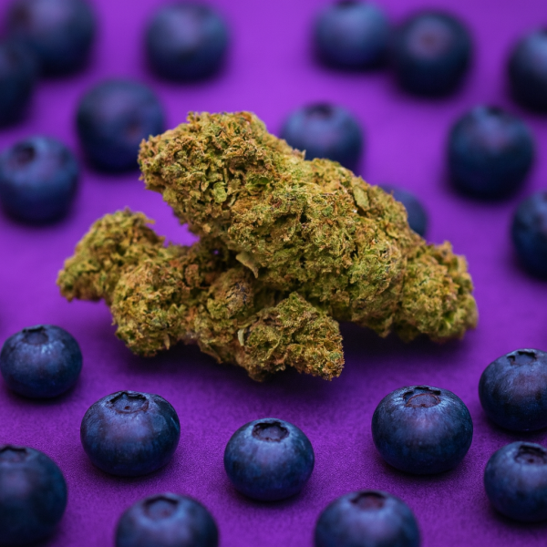 FLEUR CBD BLUE BERRY
