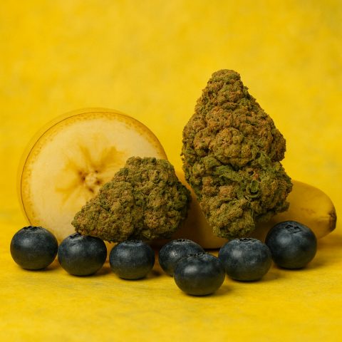 FLEUR CBD BANANA BERRY