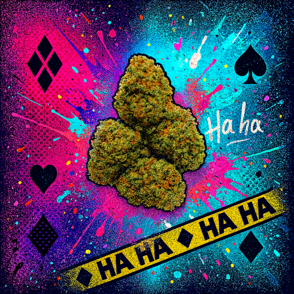 FLEUR CBD HARLEY QUEEN