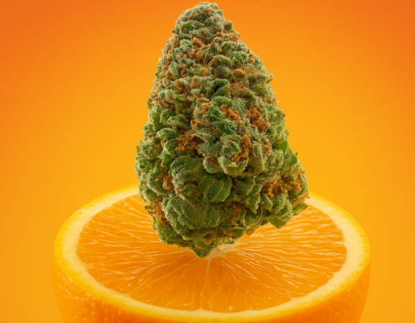FLEUR CBD ORANGE BUD